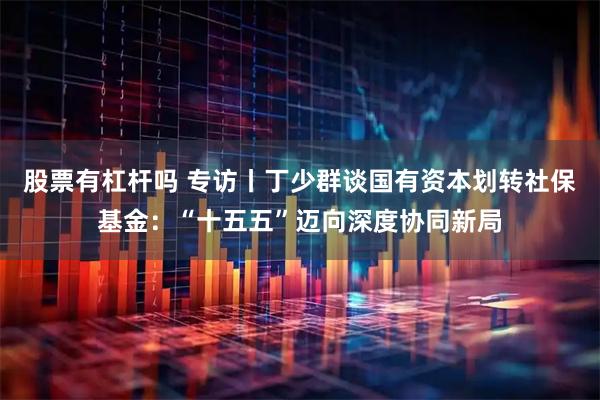 股票有杠杆吗 专访丨丁少群谈国有资本划转社保基金：“十五五”迈向深度协同新局